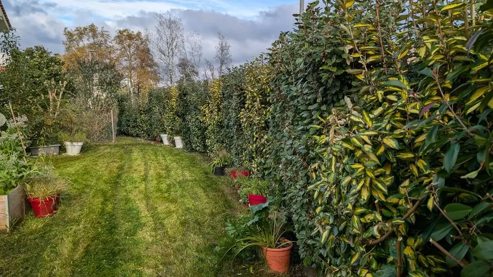 un jardin à Lons (64140) prêt pour l'hiver